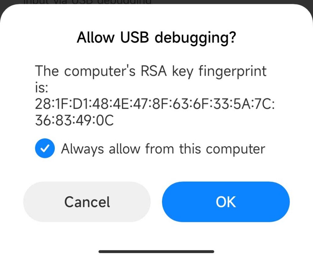 Allow debugging?